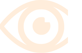 Vision